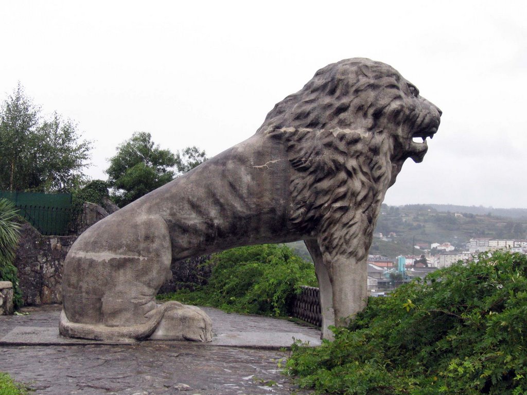 Leão do Passatempo by jose manuel rodrigue…