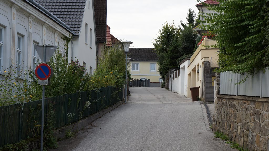 Anton Bruckner-Straße by brandleger