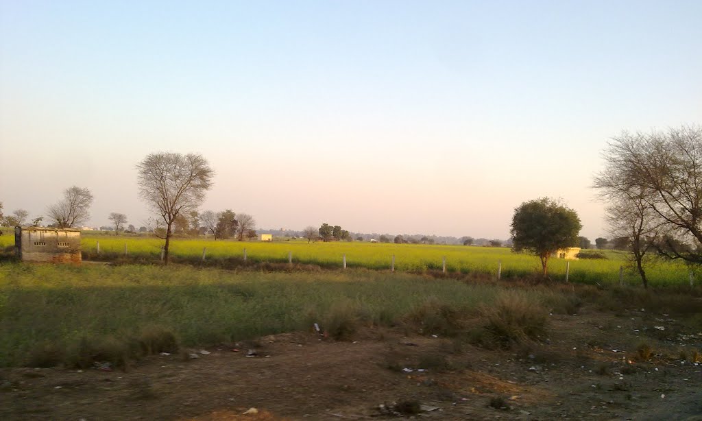 Near Navada, Mathura 201301287475. by dhanasekarangm