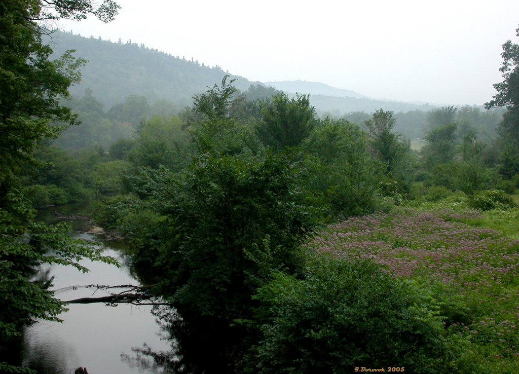 Blackwater River, Andover, NH (09-AUG-05) by Ilya Borovok