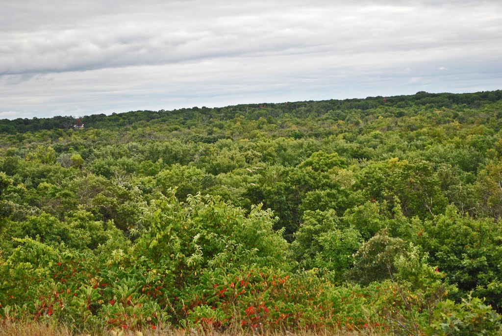 St. Croix River Valley by Aaron Carlson