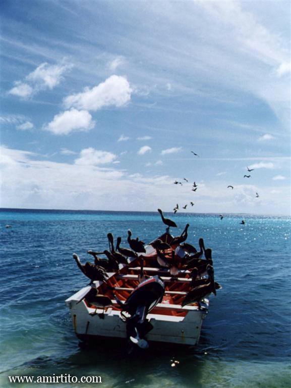 Venezuela - Los Roques by Amir Tito