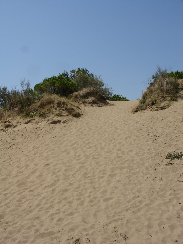 Stranddüne von Lignano Sabbiadoro by cbjo