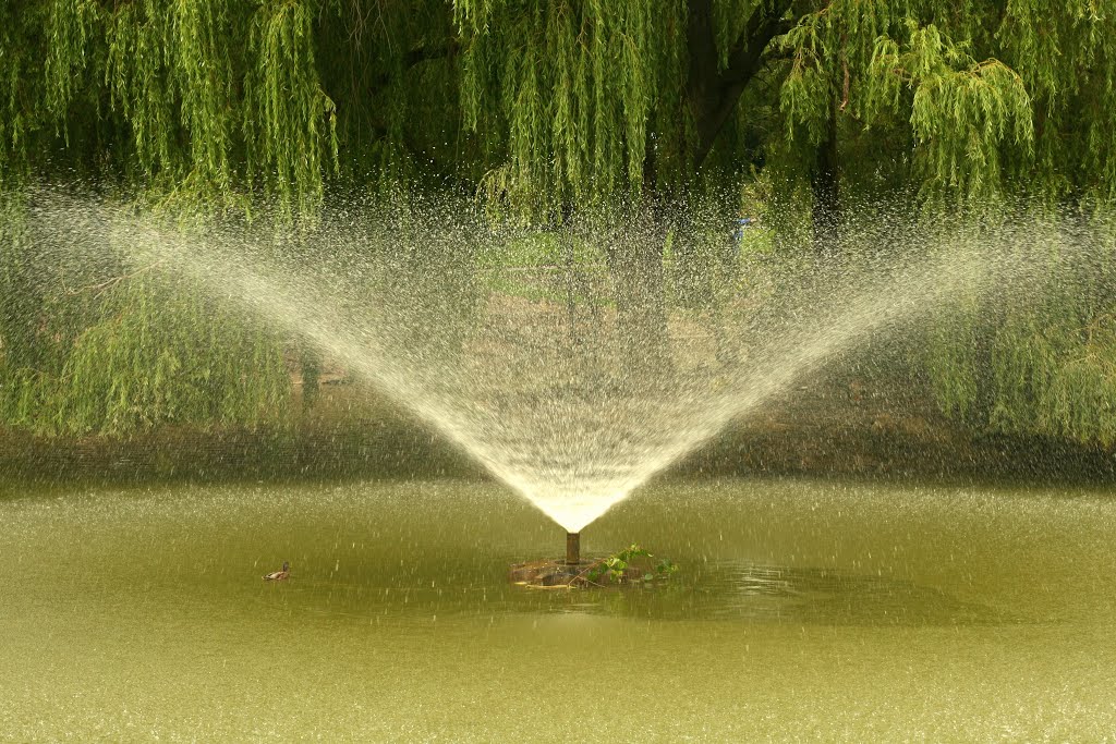 Burslem Park - 08/13 by Joe Percy