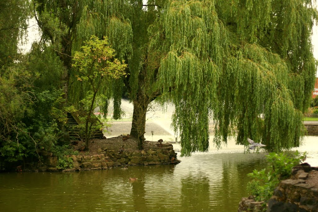 Burslem Park - 08/13 by Joe Percy