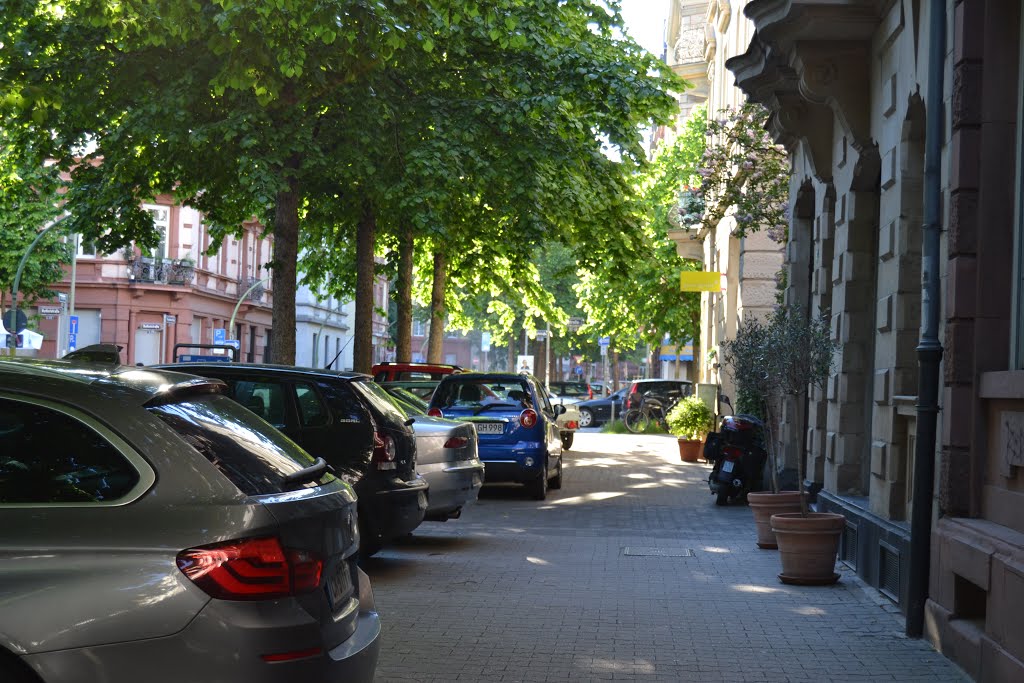 Vogelsbergstraße, Frankfurt am Main by zeflo