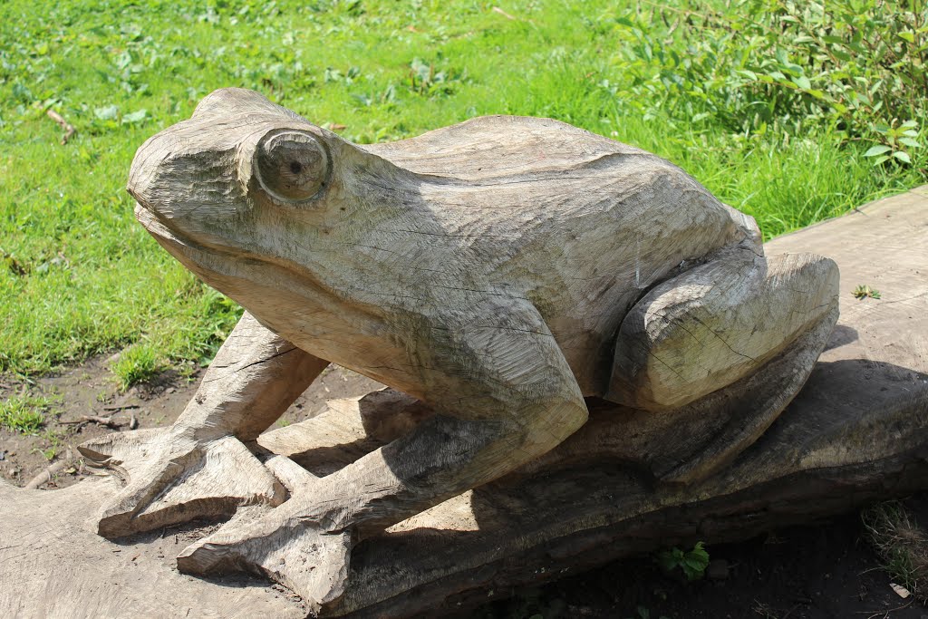 Carving of frog* by Graham Willetts