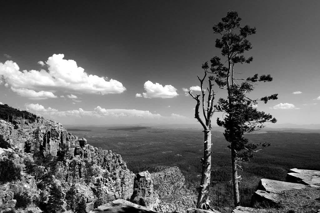 Rim & Tonto Valley by bcm79