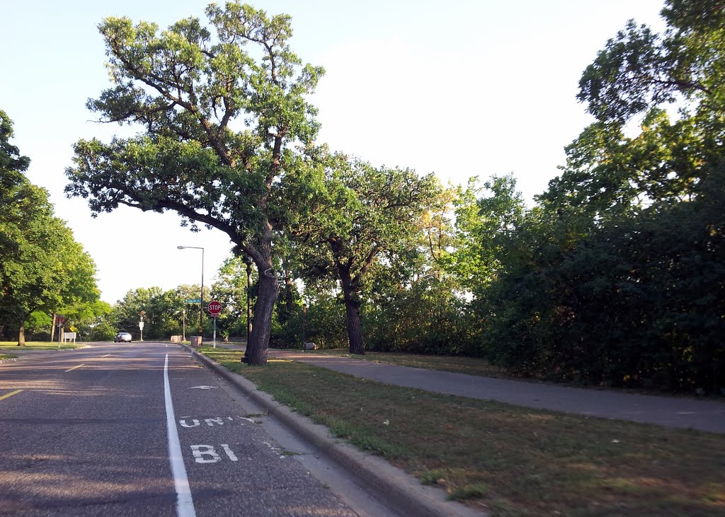 Mississippi River Blvd - St Paul, MN by Gabriel Vanslette