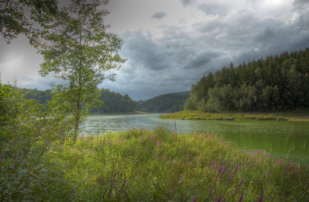 Eixendorfer Stausee by Horst Reisinger