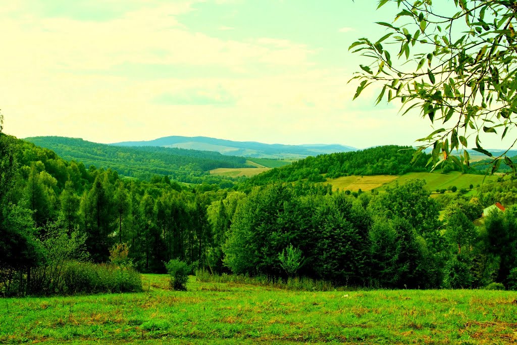 Kulaszne - widok z serpantyn w Kulasznem na Bieszczady Zachodnie . by grzegorzd80