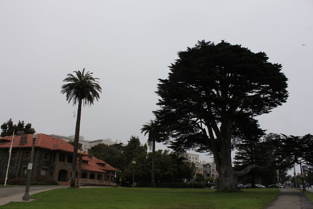 San Francisco - Golden Gate Park by acredaro