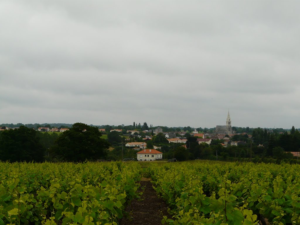 Tillières, village et vignes by tofil44