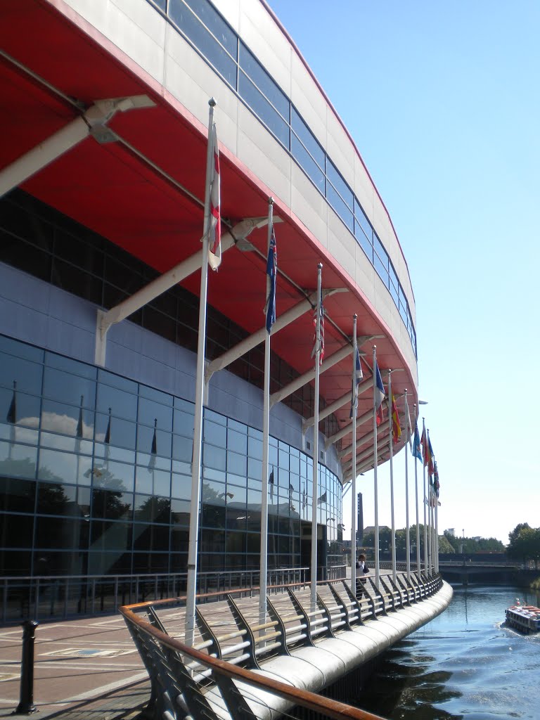 Millenium Stadium by David Owen