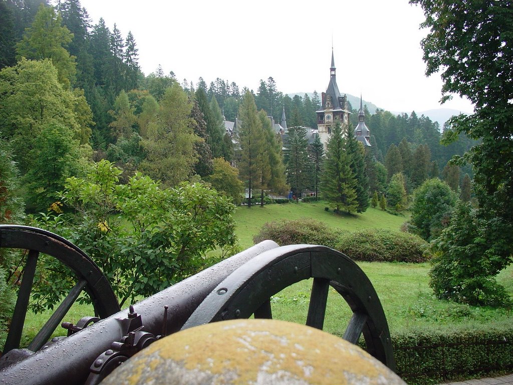 4. Castelul Peles, Sinaia, Romania by Oana-Maria Nita