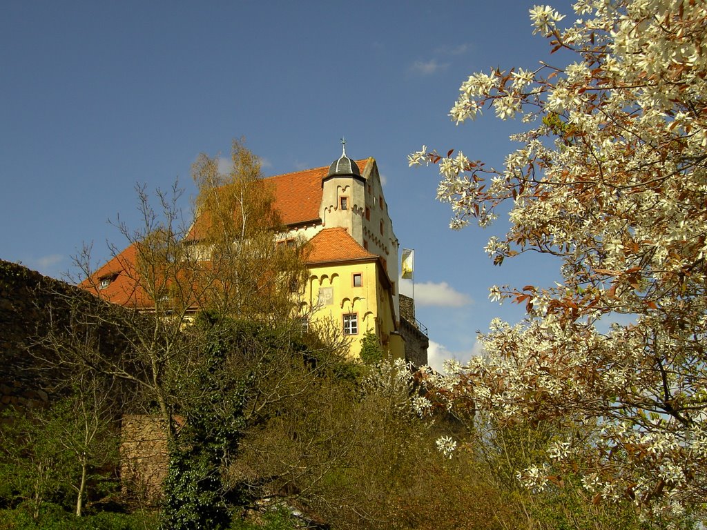 Alzenau: Burg by karei