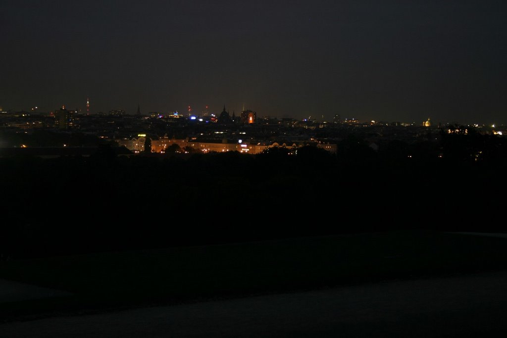 Downtown of Vienna from Schönbrunn Palace Garden at night by MBagyinszky