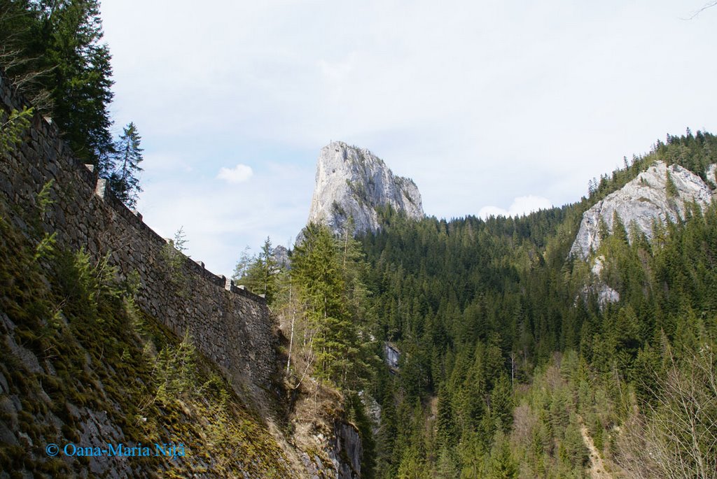 3. Cheile Bicazului, Romania by Oana-Maria Nita