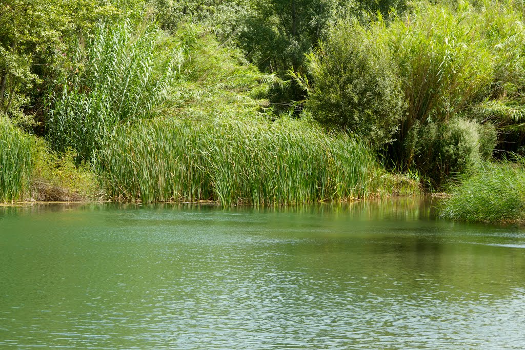 Río Mijares- a su paso por Montanejos- Castellón España by Fotovalledupar