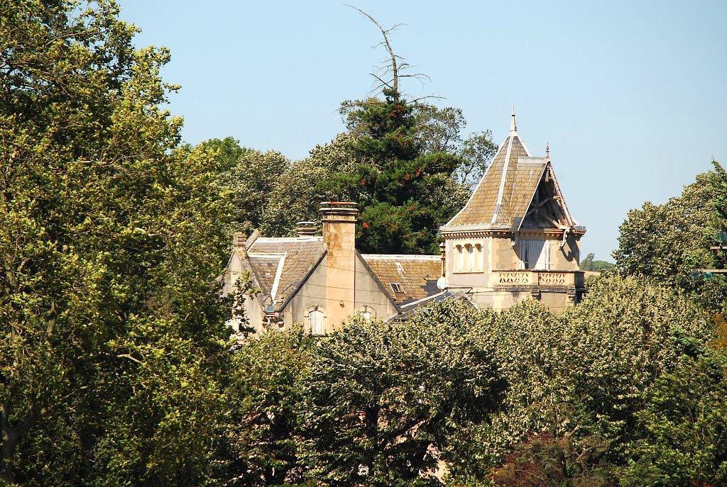 Château de Brénas by F@M