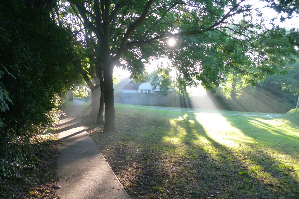 Misty September evening... by shariain