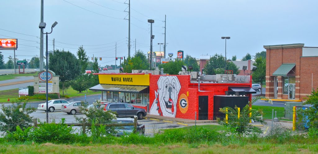 Dawgs mural by DixieTraveler