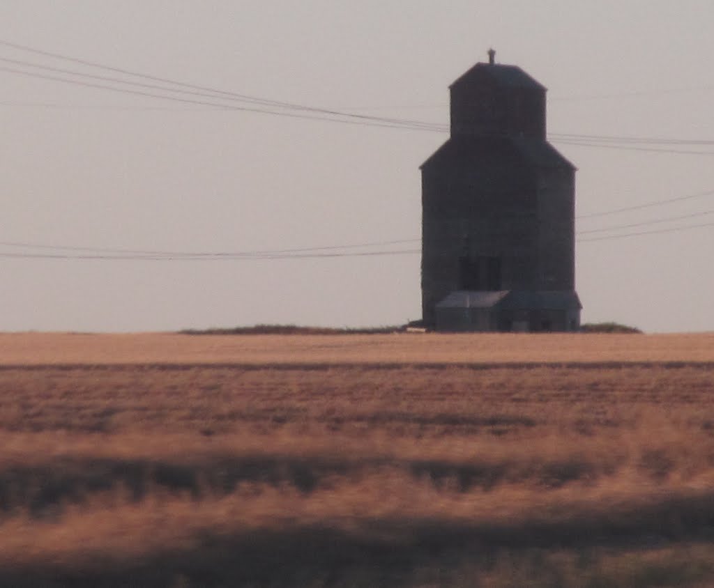 Classic Prairie - Golden Fields And A Grain Elevator North Of Swift Current SK Sep '13 by David Cure-Hryciuk