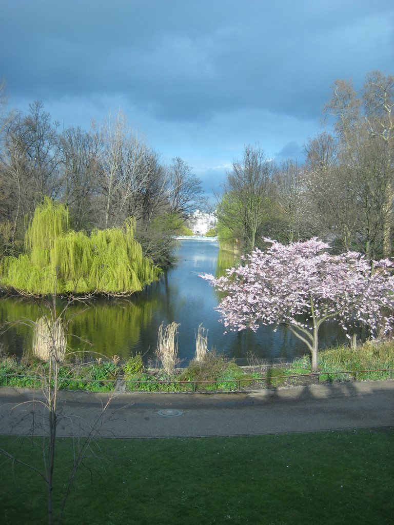 St.James park April, colors by vv.lpshn