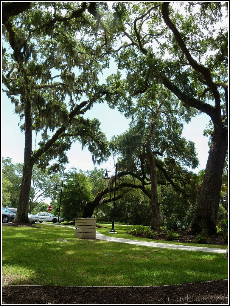 Jekyll Island - Georgia - USA by mario.kaupe