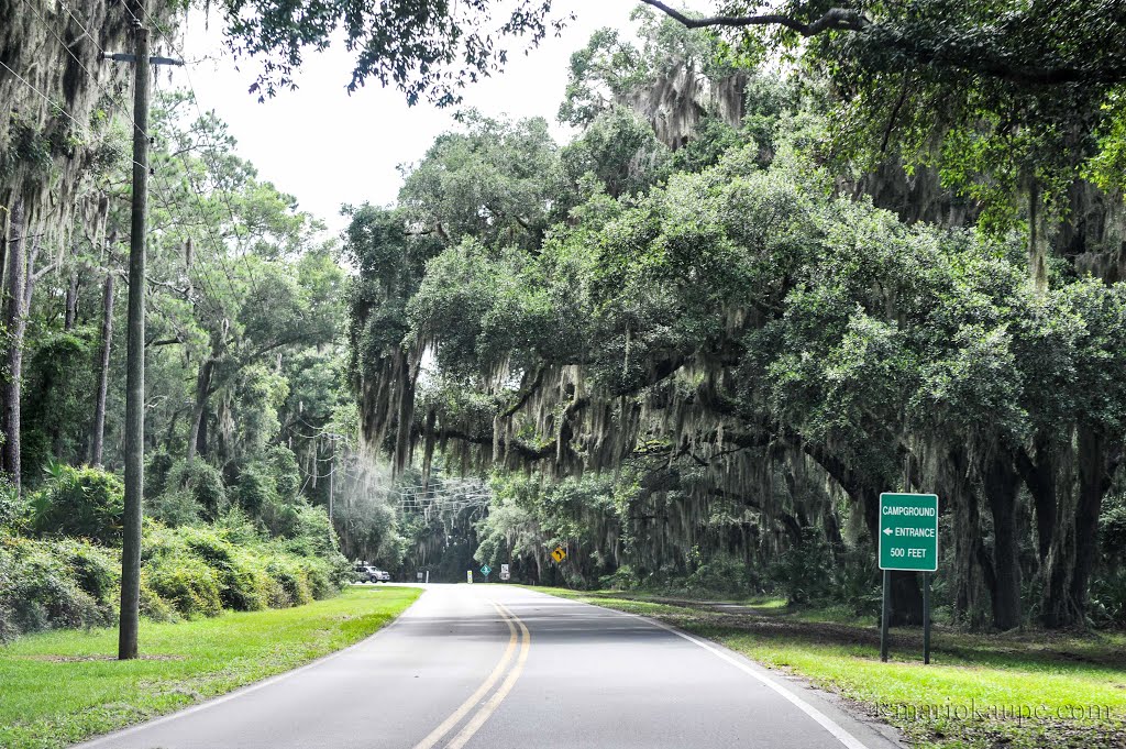 Jekyll Island - Georgia - USA by mario.kaupe