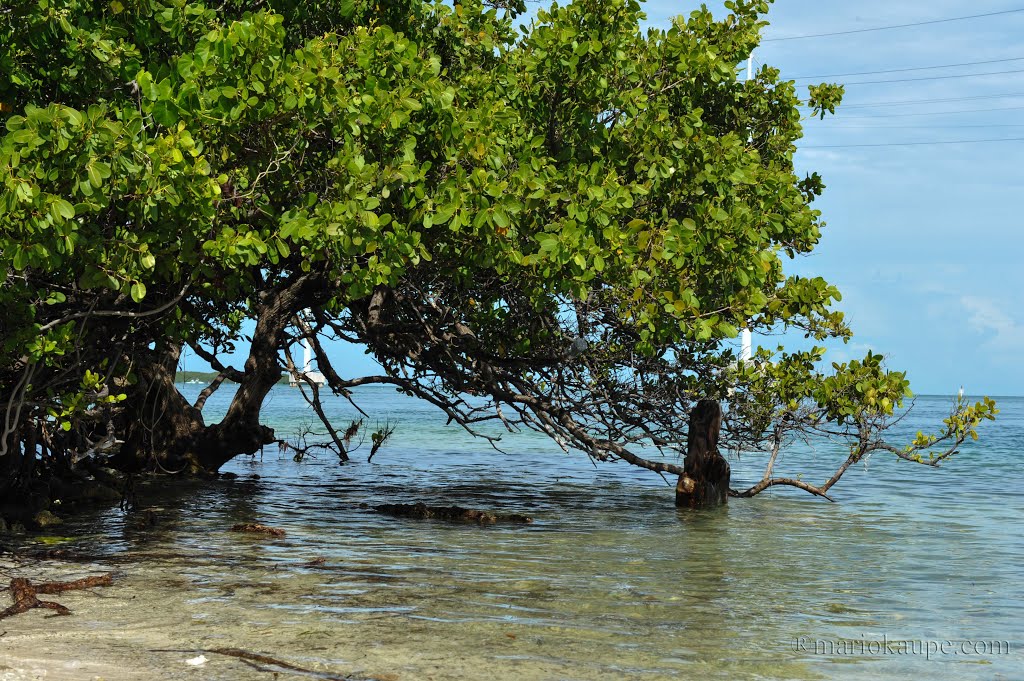 Florida Keys - Florida - USA by mario.kaupe