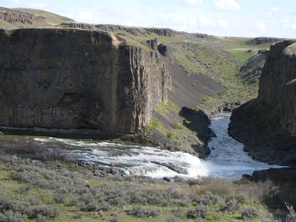 Whitman County, WA, USA by mattkitterman