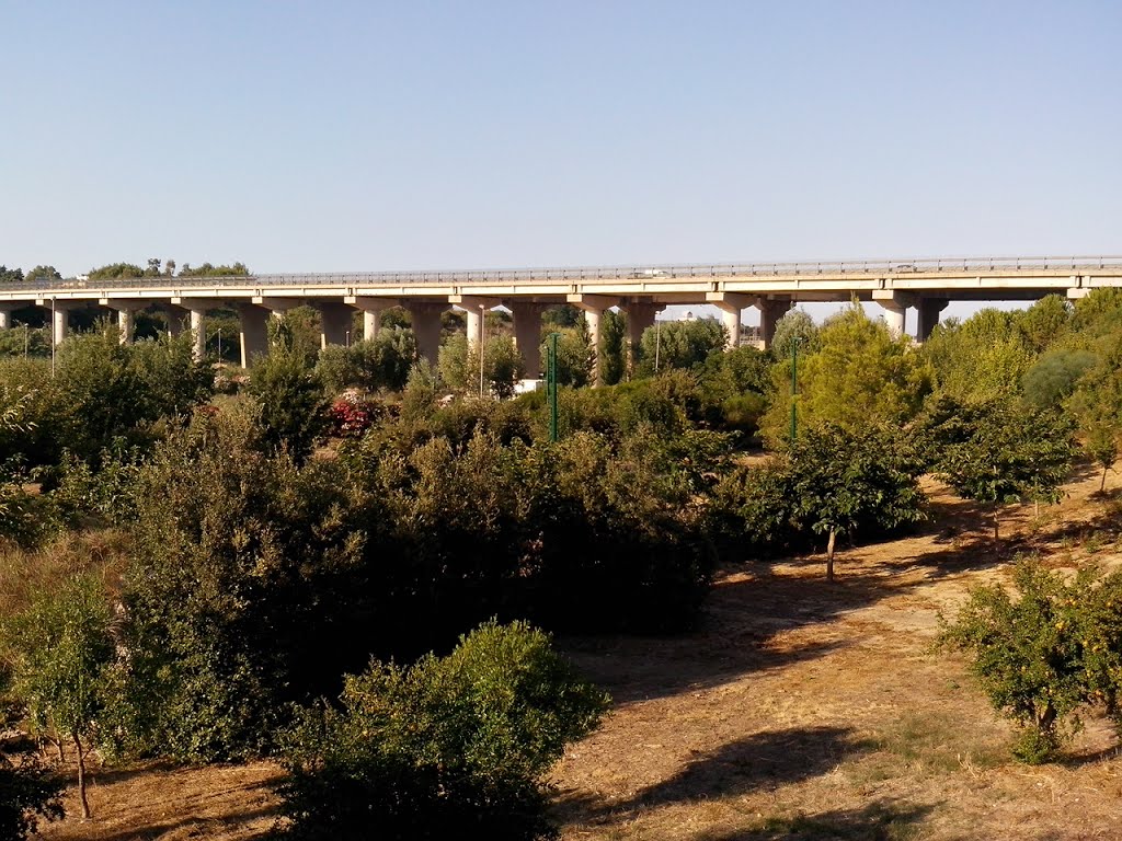 Ponte del cillarese by romangel