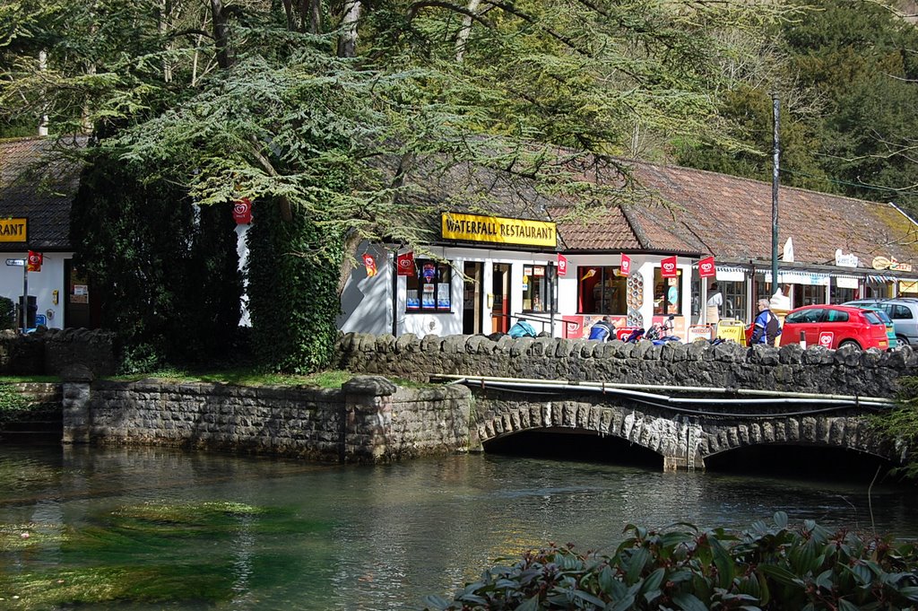 Mill pond in Cheddar by Brian Mason