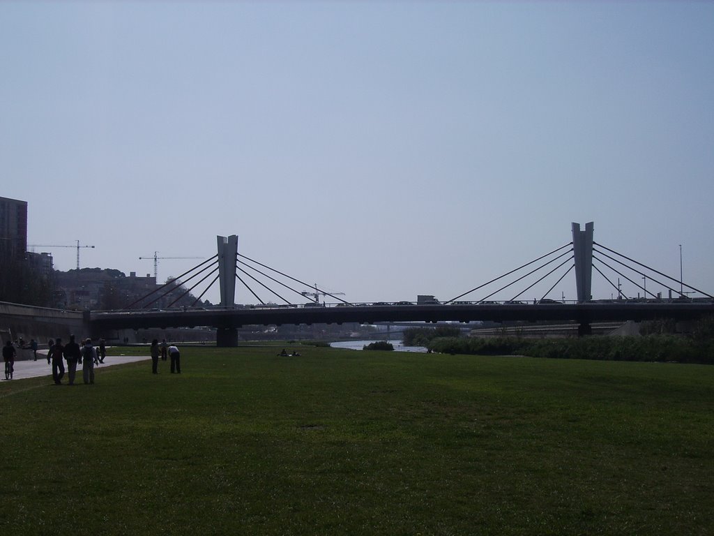 El Besòs, El Pont de Potosí (04-2008) by olivella ferret