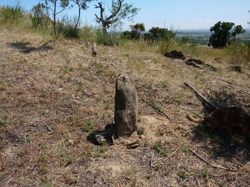 Menhir de Can Isach by Manuel de Luque