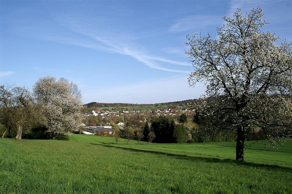 Nöttingen by Augenstein