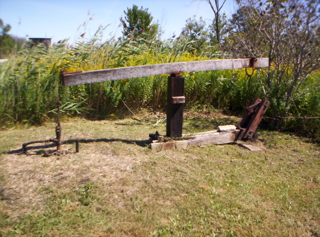 Mini working oil rig, near Oil Springs by Doug Payne