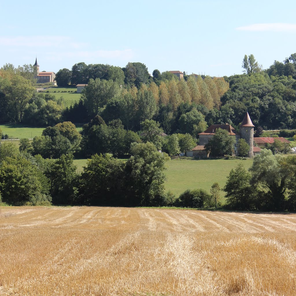 Crachier (38) 5 sept 2013. Vue sur le manoir et St Agnin sur Bion. by nouchetdu38