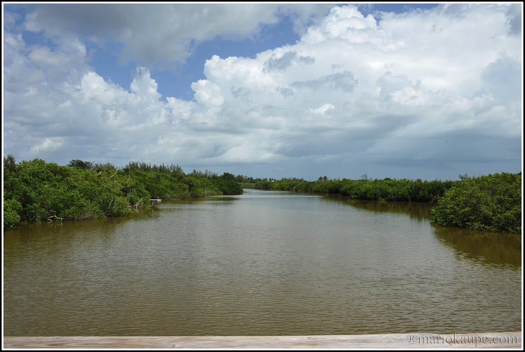 Sanibal Island - Florida - USA by mario.kaupe