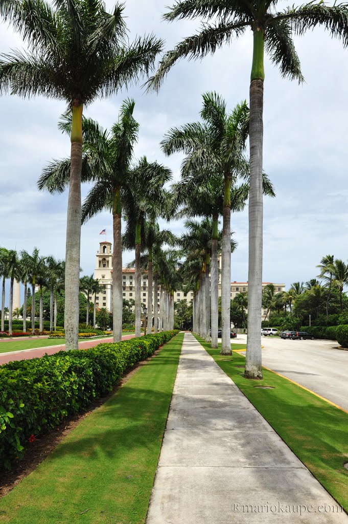 Palm Beach - Florida - USA by mario.kaupe