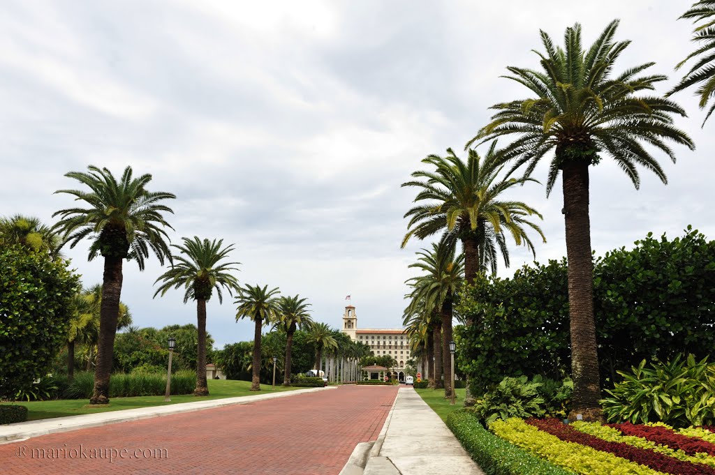 Palm Beach - Florida - USA by mario.kaupe