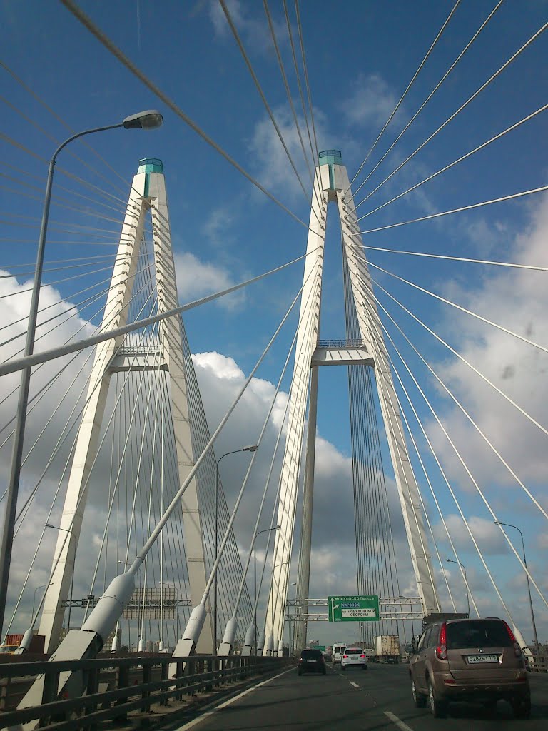 Obukhovskiy Bridge over the Neva River on KAD by DiAr