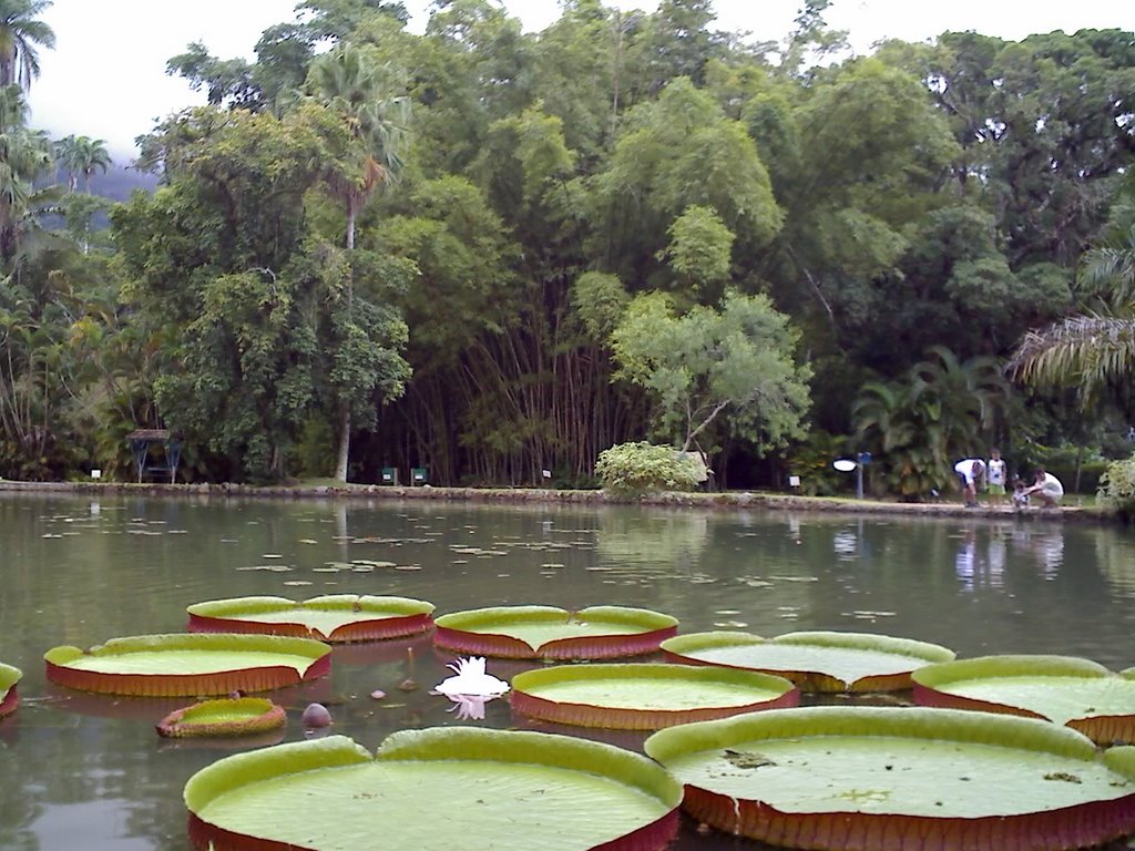 Lago Frei Leandro by Allan Caetano Ramos