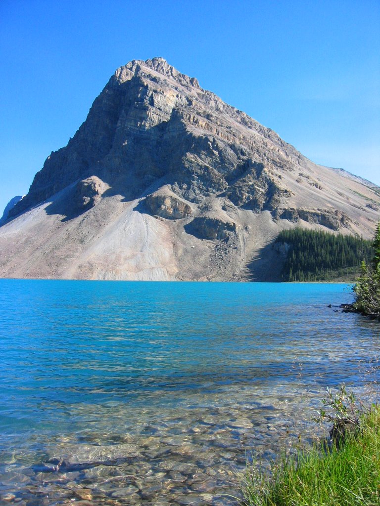 Bow lake from shore by Rick Guthrie