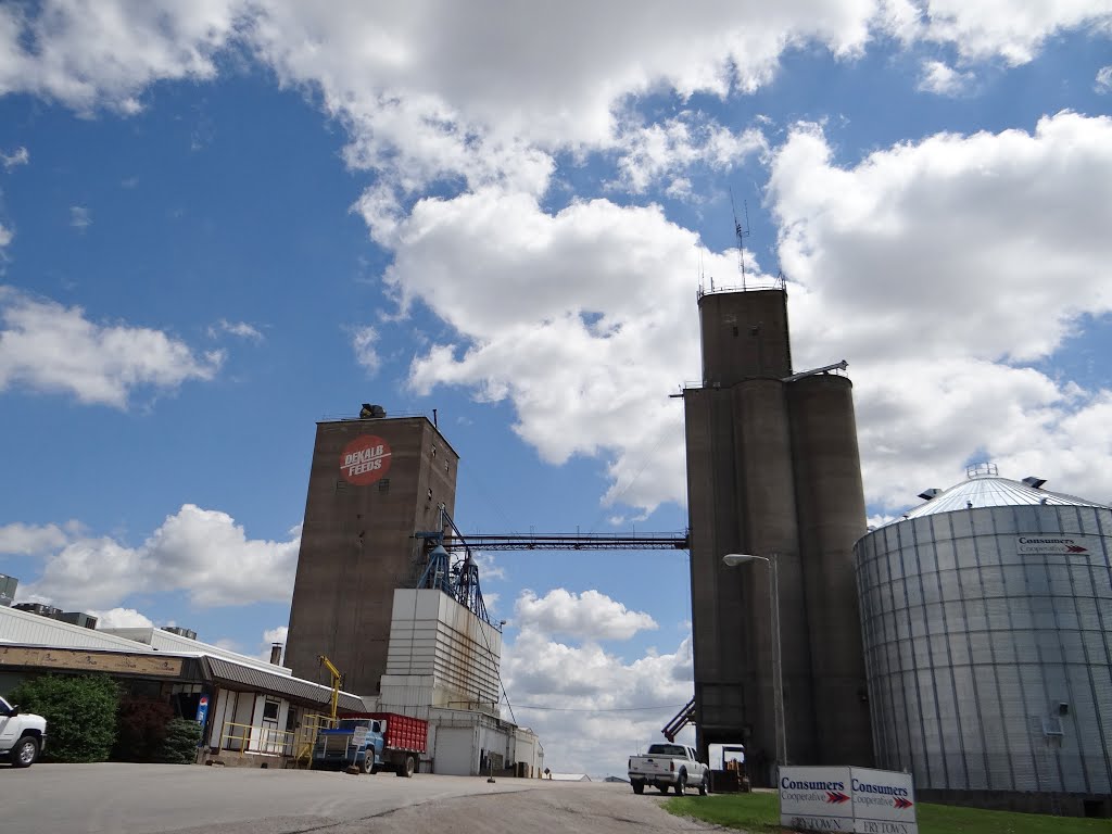 Silos in Williamstown, IA by Gino Vivi