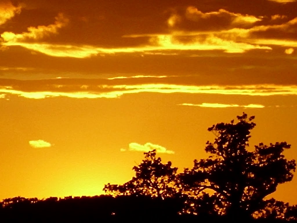 Through the office window tonight. by Jem Mead