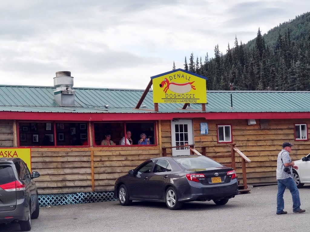 Denali, Nenana Gulch by Rumiana Koynova-Tenchova