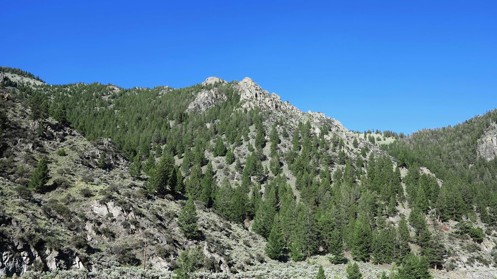 Rock Outcropping, July 2013 by Steve Powell