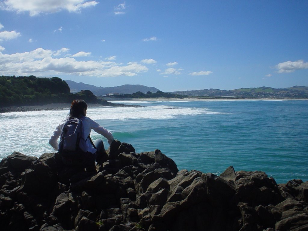 Looking North to St. Clair Beach, Dunedin by matconnor